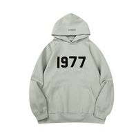 H13